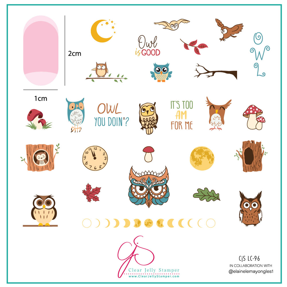 CJSLC-096 - Owl is Good   | Clear Jelly Stamping Plate