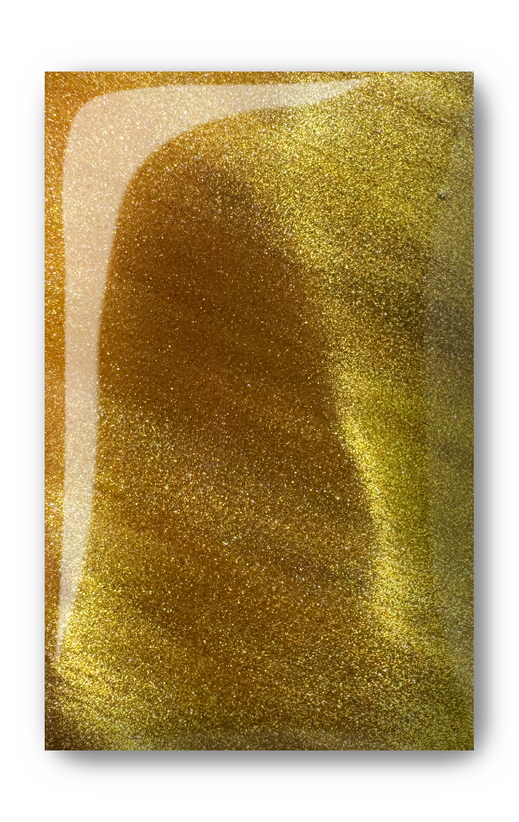 
                  
                    The Kitties - P+ Cat Eye Collection | Light Elegance
                  
                