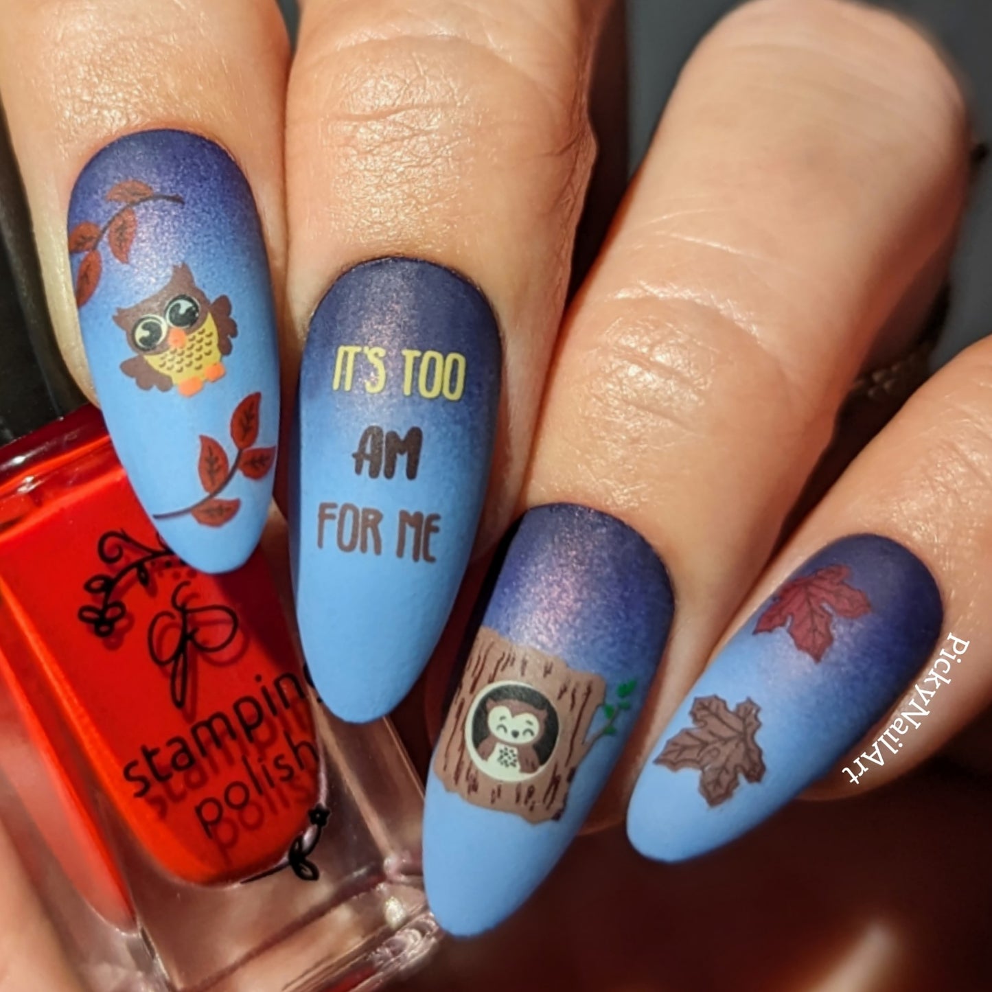 
                  
                    CJSLC-096 - Owl is Good   | Clear Jelly Stamping Plate
                  
                