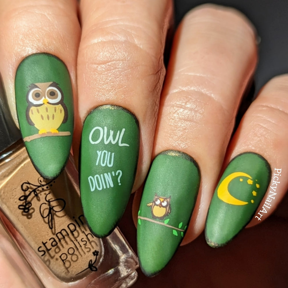 
                  
                    CJSLC-096 - Owl is Good   | Clear Jelly Stamping Plate
                  
                