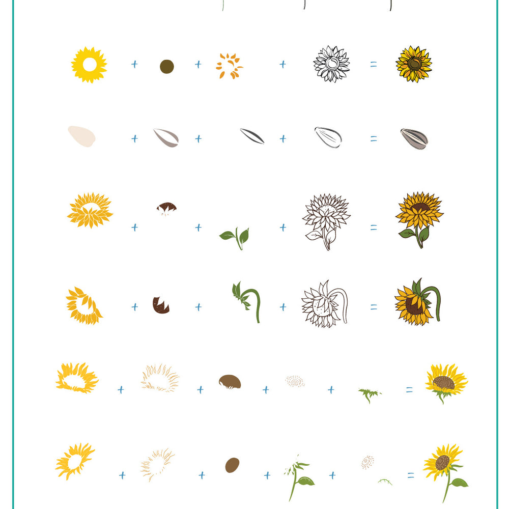 
                  
                    CjS-370 - Glow like a Sunflower  | Clear Jelly Stamping Plate
                  
                